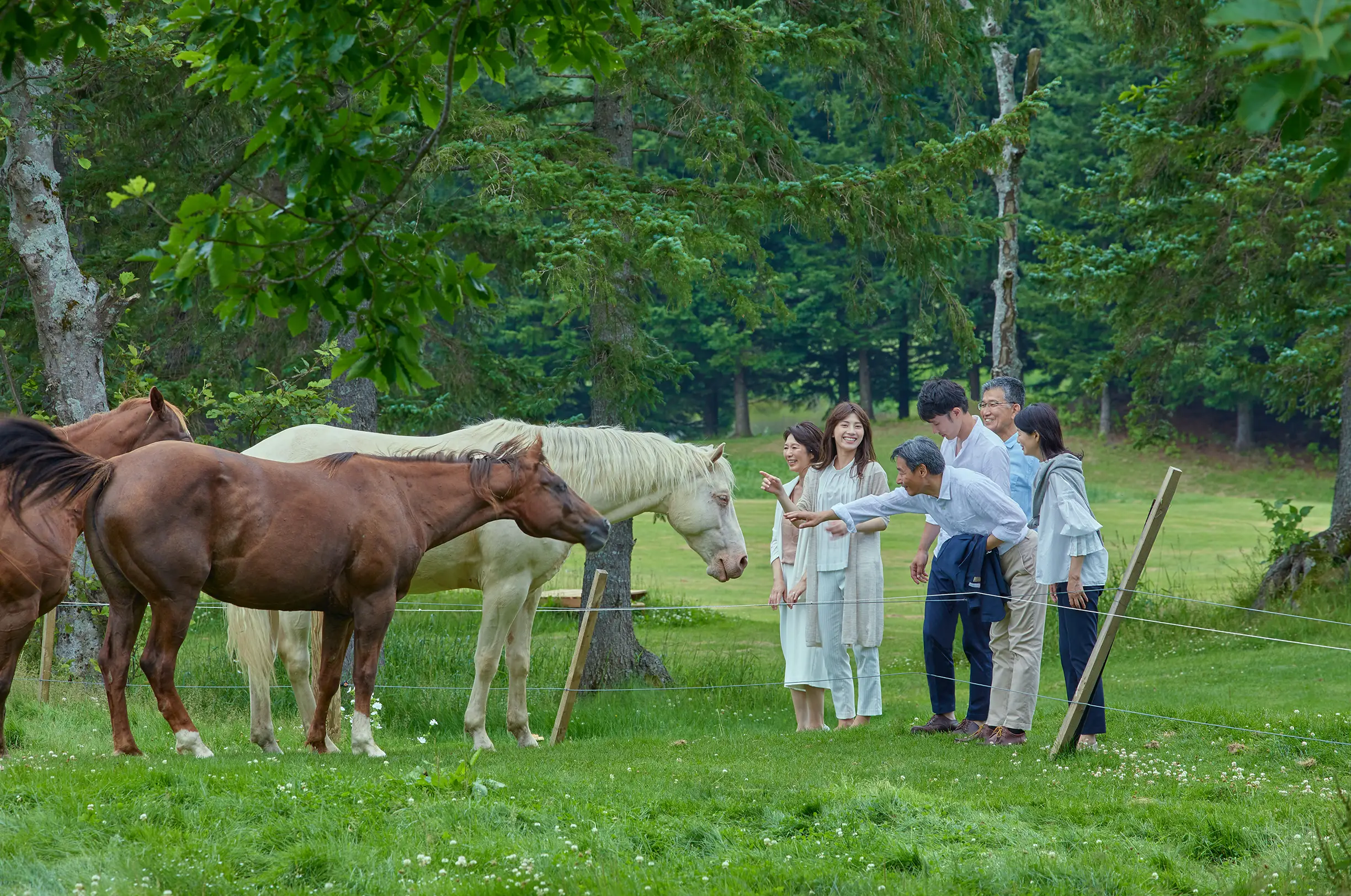 写真：ファームの馬と