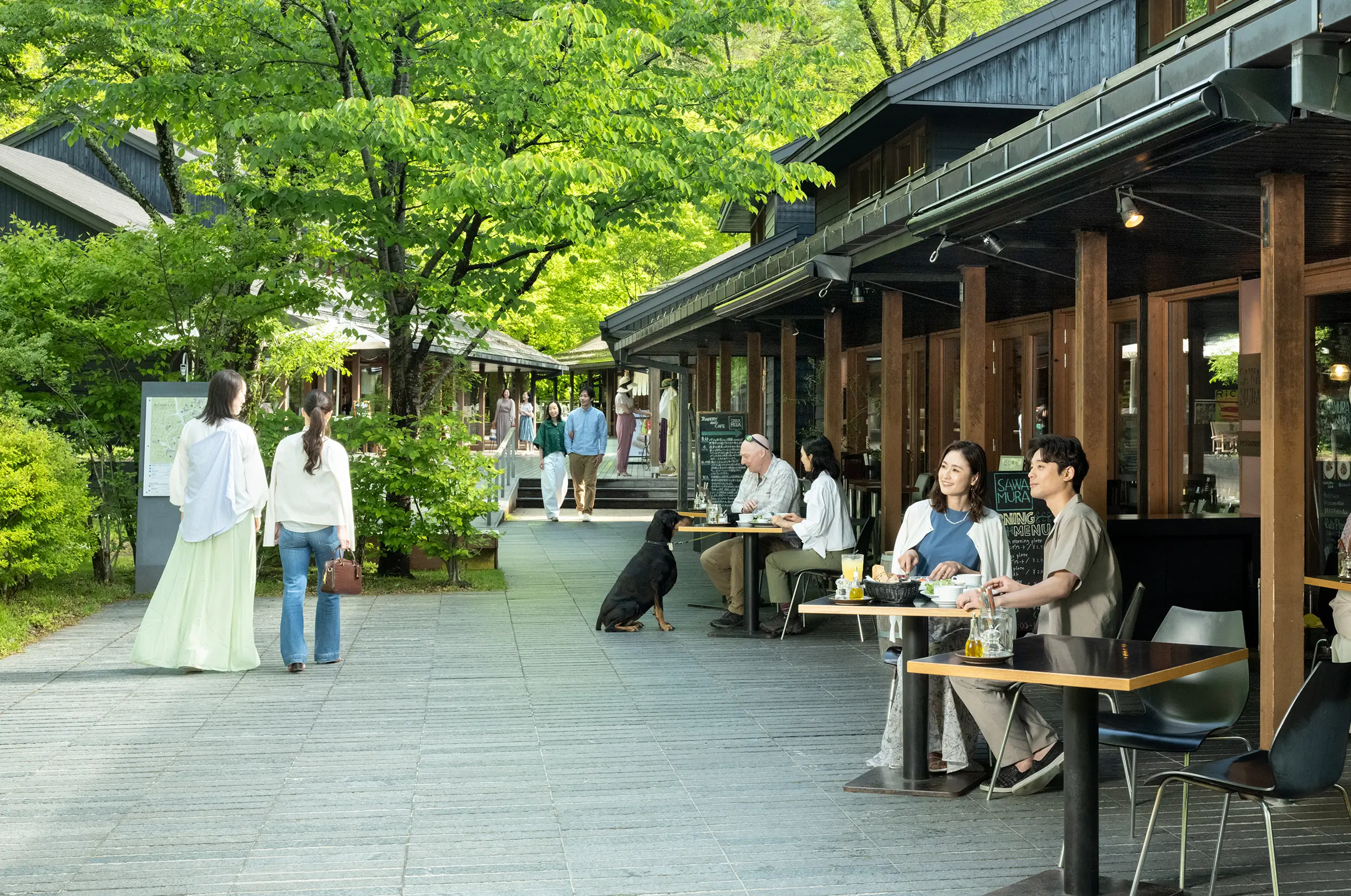 写真：ハルニレテラス