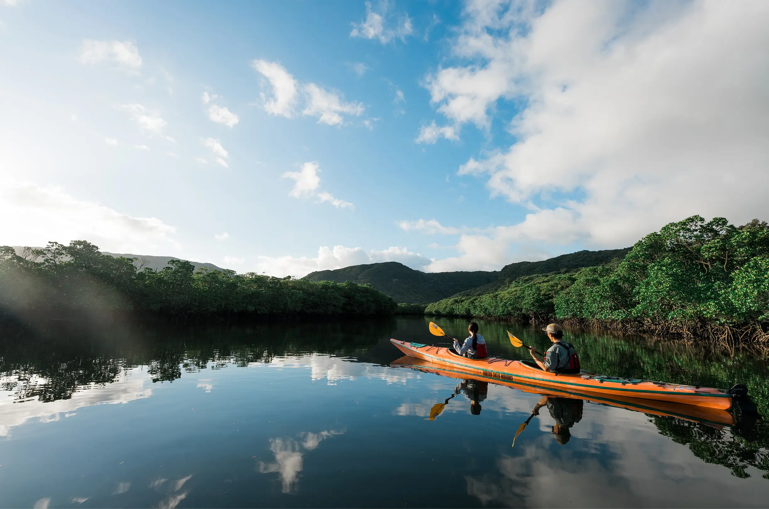写真:西表島 マングローブの川をカヤックで進む