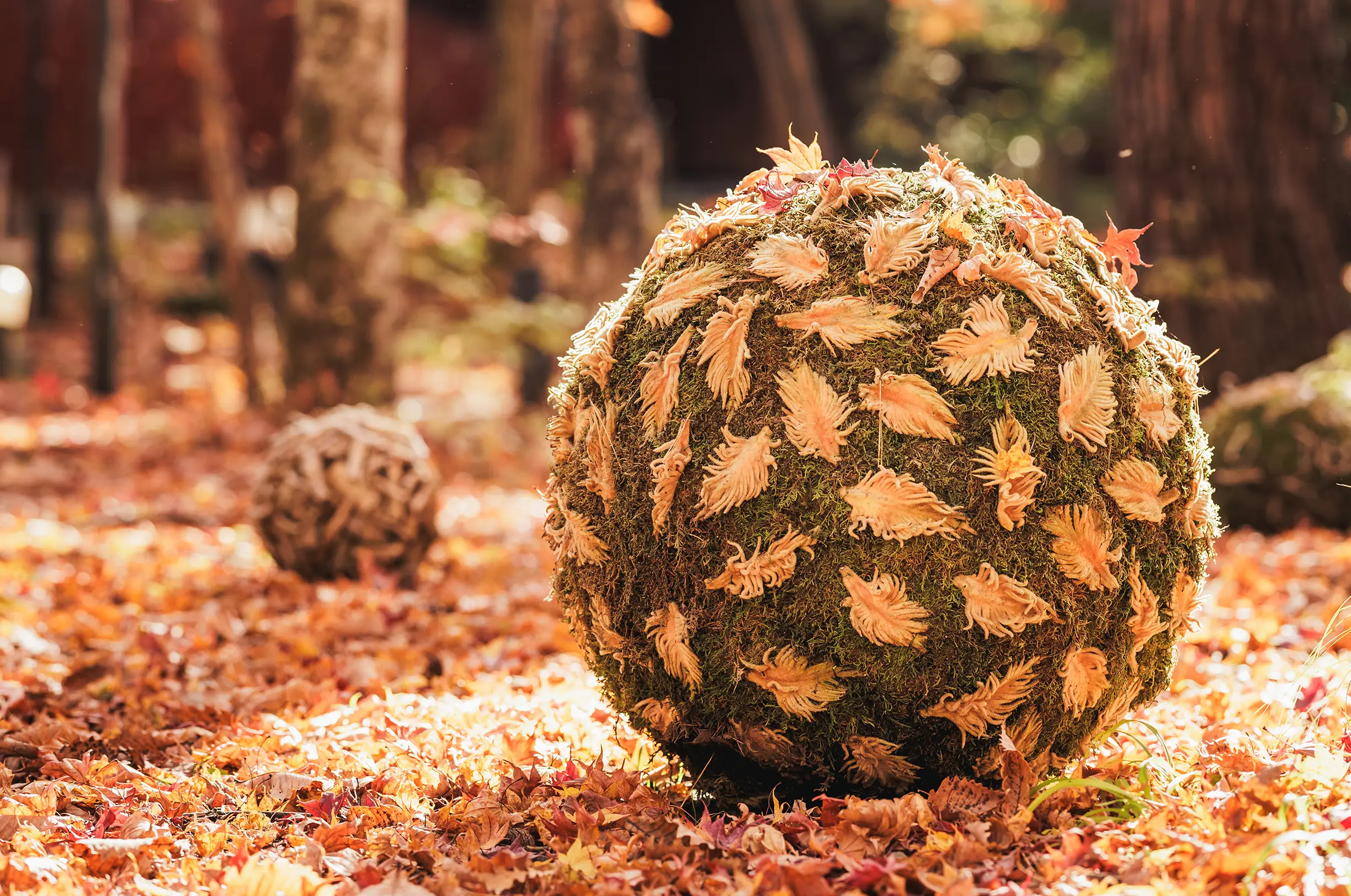 写真:アートフォレスト