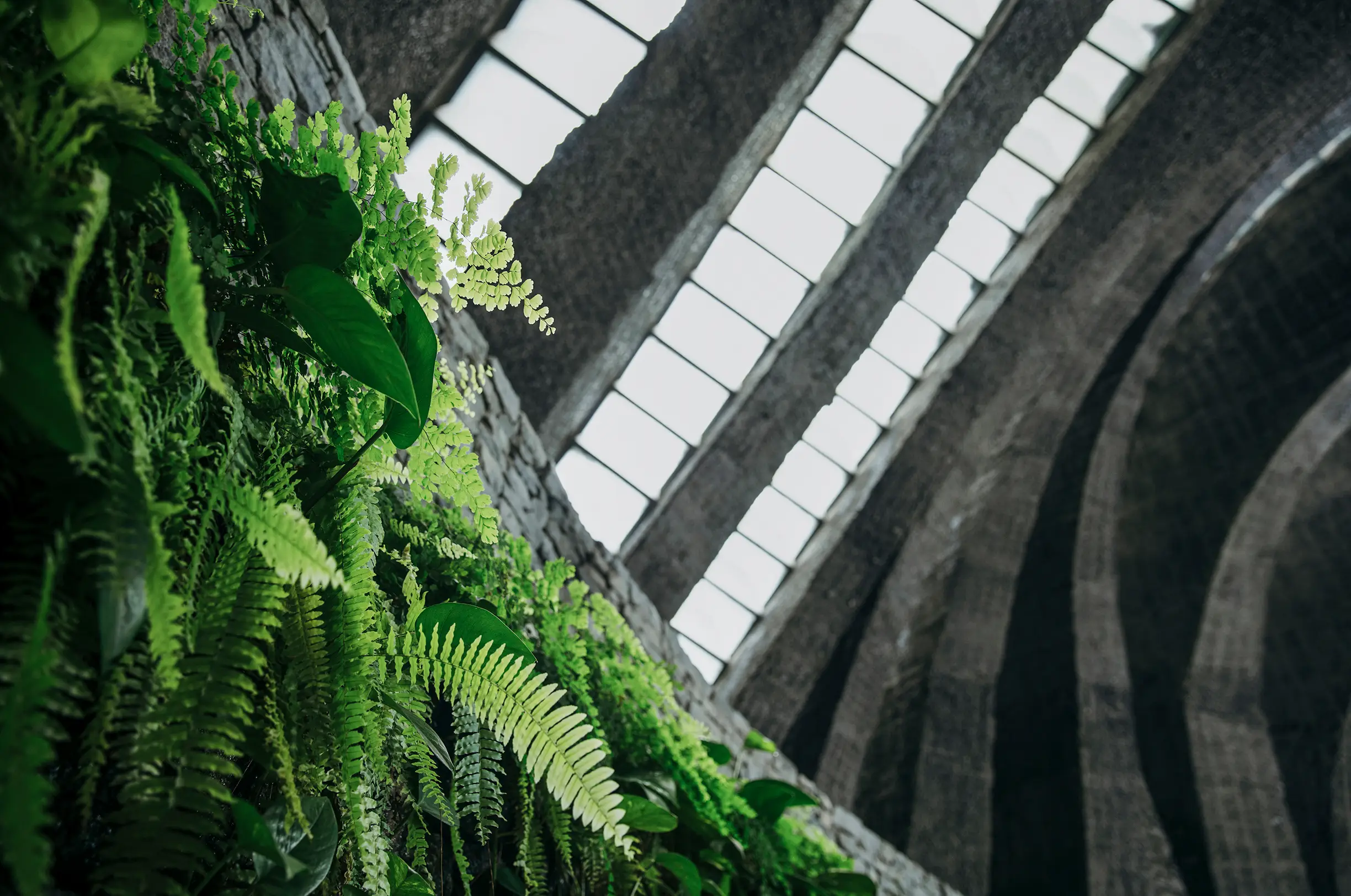 写真:石の教会 内村鑑三記念堂 天井のアーチ