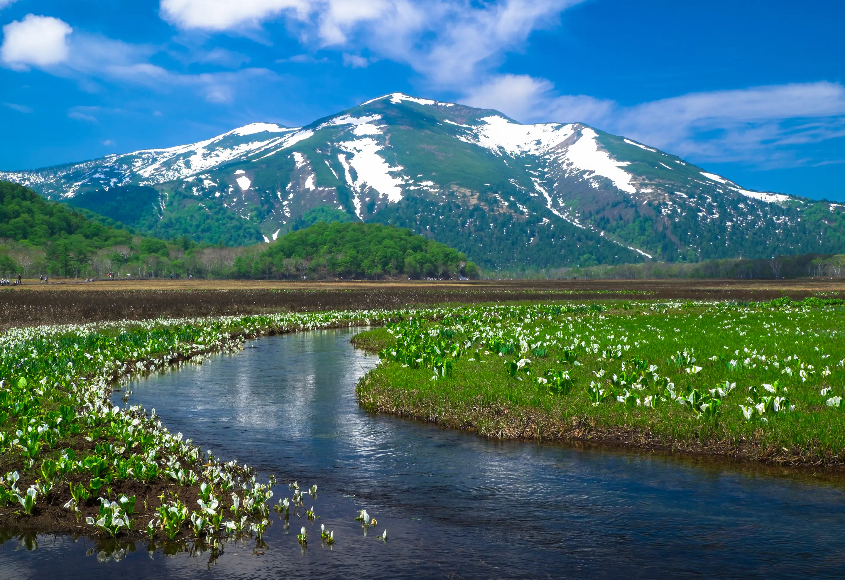 写真：いつか行きたかっただからふたりで